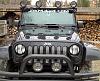 JWM 4x4 Grille Insert &amp; Grab Handles-plain.jpg